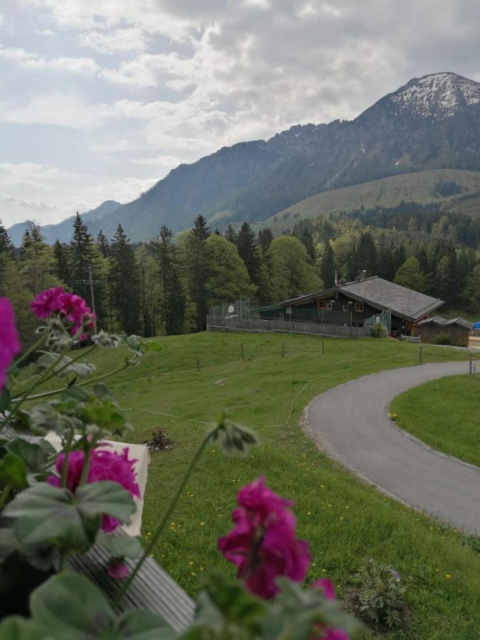 Haus Obweg - Postalm Aparthotel Hallein Buitenkant foto