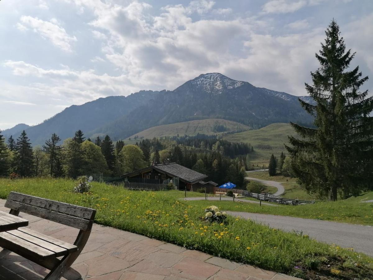 Haus Obweg - Postalm Aparthotel Hallein Buitenkant foto