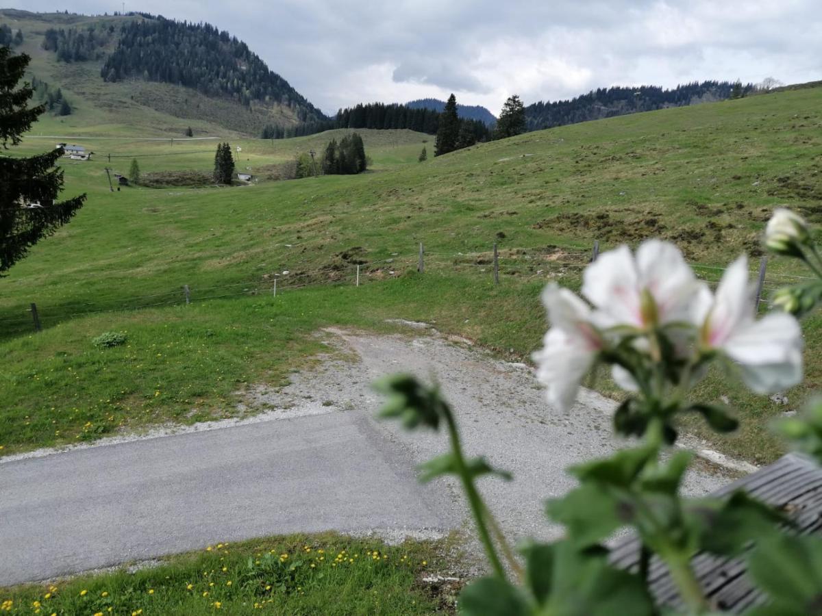 Haus Obweg - Postalm Aparthotel Hallein Buitenkant foto
