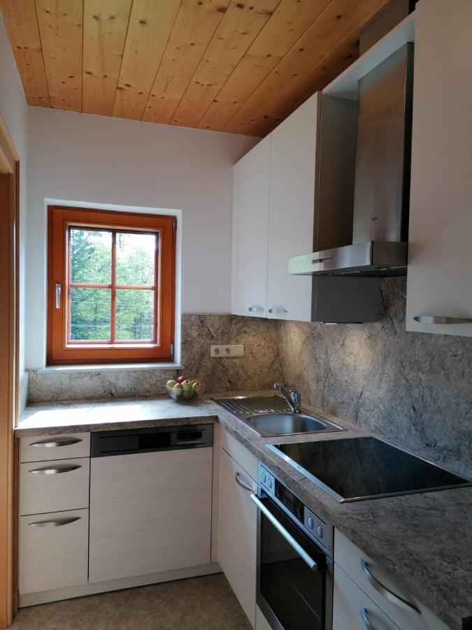Haus Obweg - Postalm Aparthotel Hallein Buitenkant foto