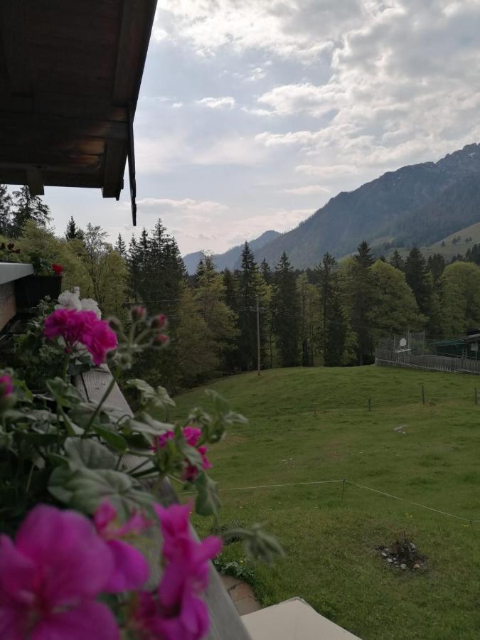 Haus Obweg - Postalm Aparthotel Hallein Buitenkant foto